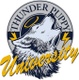 Thunder Puppy University LLC