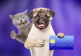 Dog and cat with credit card. Payment. paying for grooming. Purple background. Pup holding debit car
