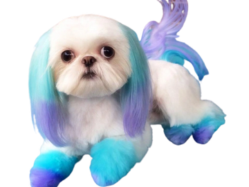 Dog dyes. Dye. Fur dye. Dog hair coloring. multiple colors. Two colors. Blue and purple.