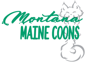 Montana Maine Coons