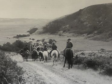 Before Pines were planted