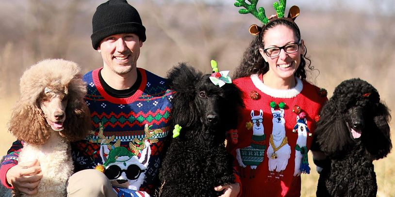 Zionna the parti. The blacks are Diva and Esmerelda, both offspring of Parker.