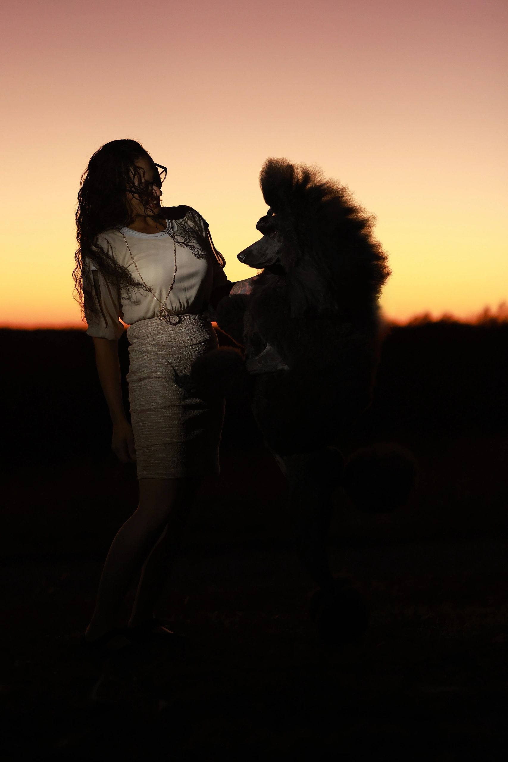 GCH CH Outlaws Dancing Esmerelda by Gisella BCAT CGC TKN