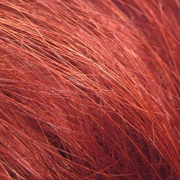 Red hair color fibers after hair color service 
