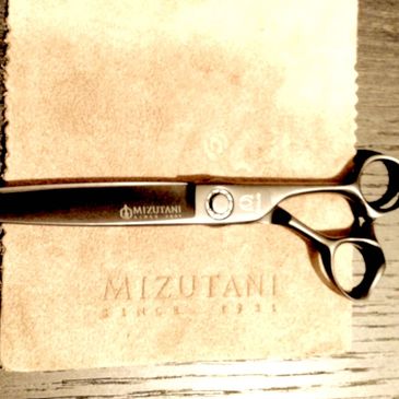 Scissors on suede mat for hair cutting 