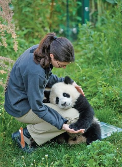 WWF panda picture on hair salon website 