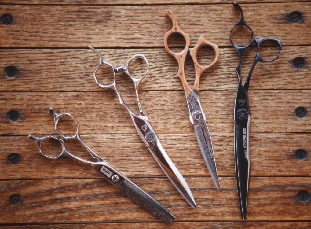 Multiple Mizutani haircutting scissors for the salon