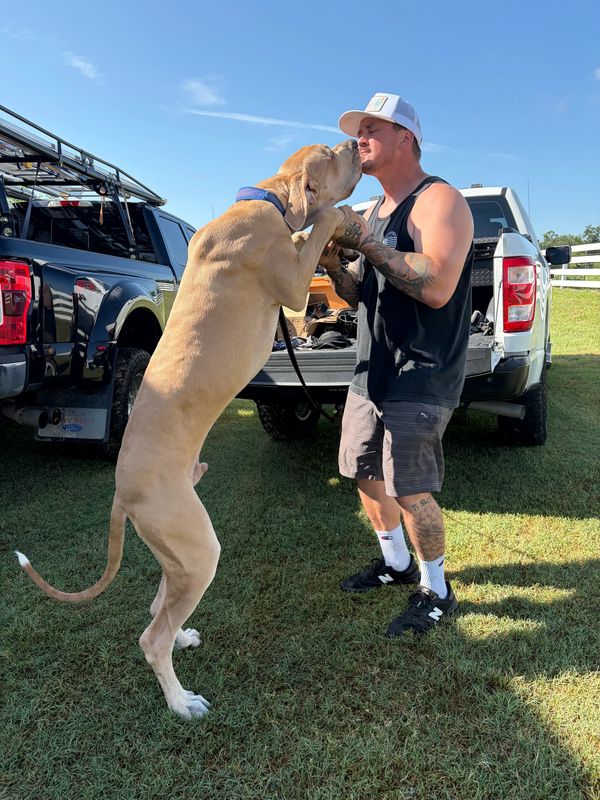 Man sharing a kiss with a large dog standing on hind legs.