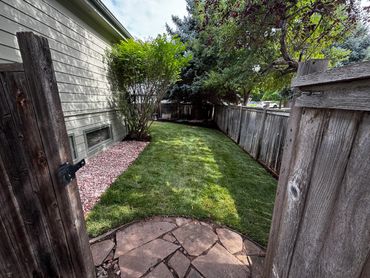 Backyard garden with green grass, wooden fence, and stone pathway.