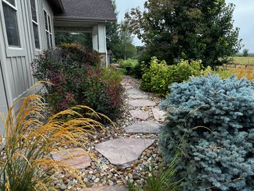 Stone pathway surrounded by colorful bushes and plants in a garden.