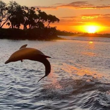 Casey Key Tiki Tours - Sunrise Tour