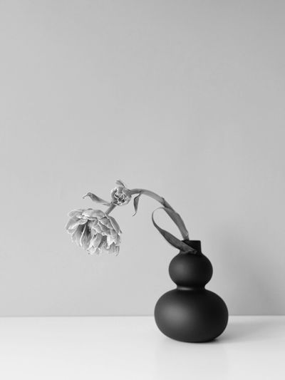 flower in a vase hanging over