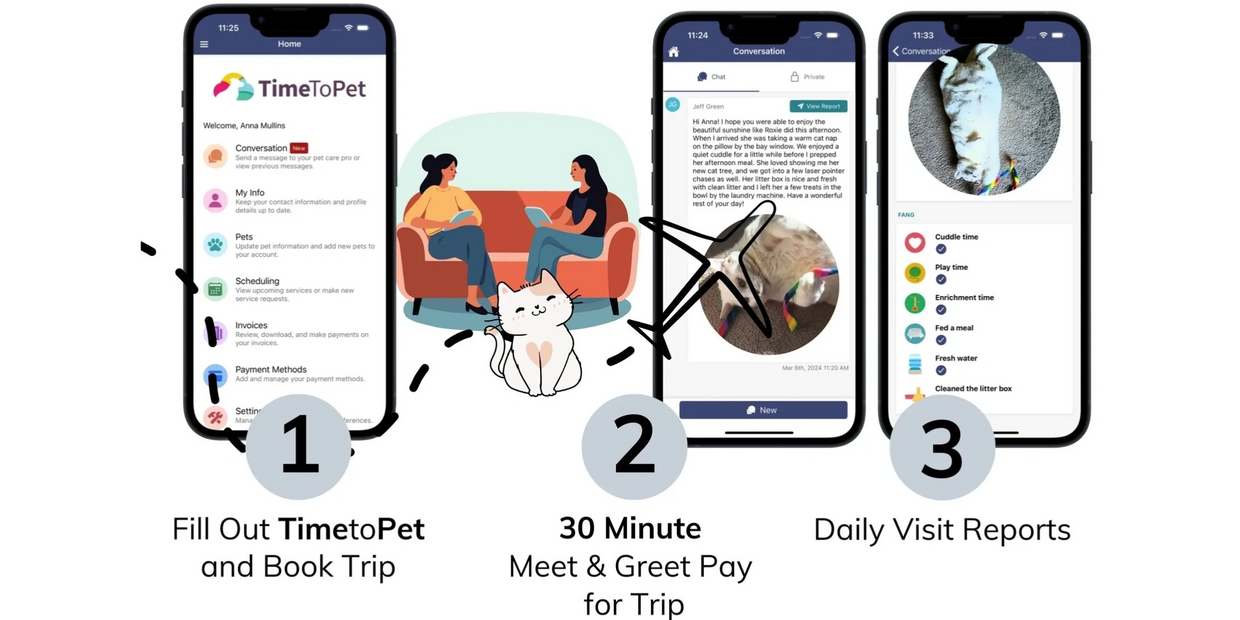 White cat playfully batting at a colorful toy