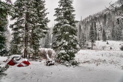 REI Magma 15 Sleeping Bag Review