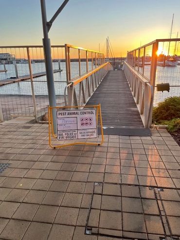 calibre pest management
commercial pest control
pigeon control services
rabbit control services