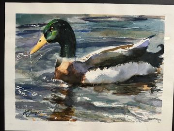 Example of complex background with single subject
Mallard duck on the water.