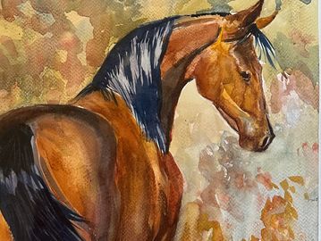 Horse with simple background