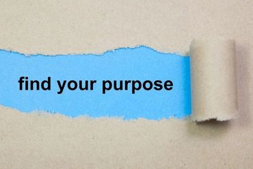What is Your Purpose?