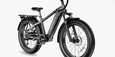 eBike