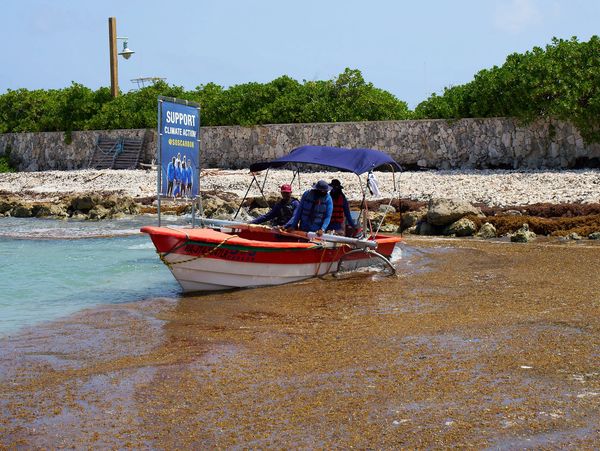 the LCM system in action!