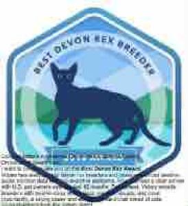 Best Devon Rex cat breeder