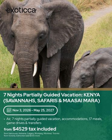7-night Kenya safari vacation with safaris and Maasai Mara visits, including air and meals.