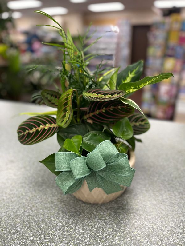 A decorative plant arrangement with a green bow on a speckled surface.