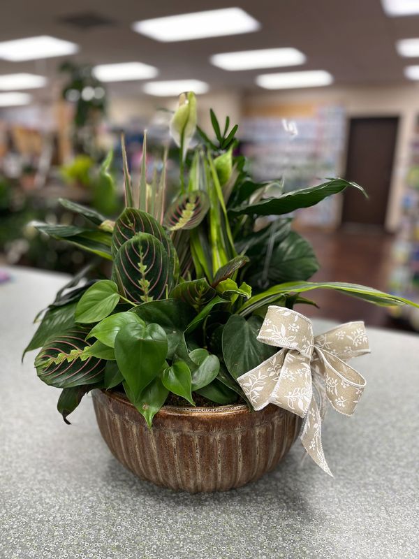 A decorative indoor plant arrangement in a brown pot with a beige floral bow.