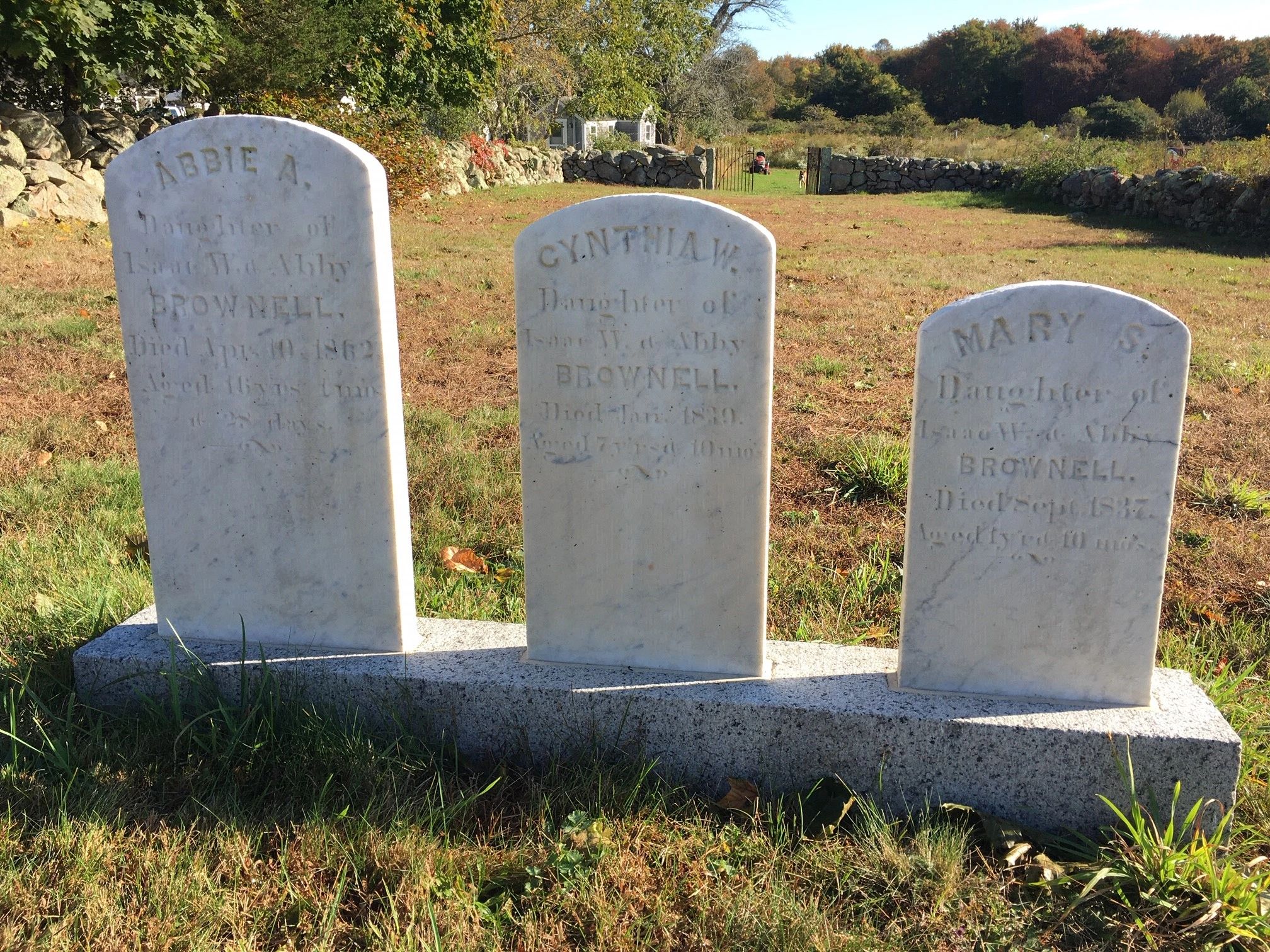 granite headstones after cleaning with D/2