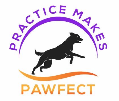 practice-makes-pawfect-dog-agility-canine-sports