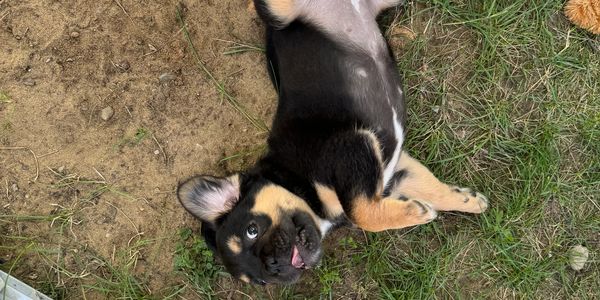 More details coming soon!