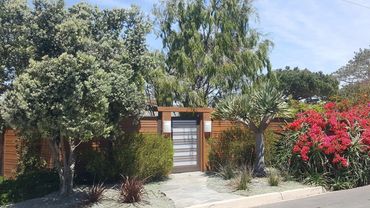 Modern California Yard entrance with lights.