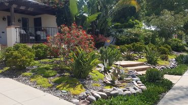 Low Maintenance Front yard redesign landscape with rocks, flagstone, birds of paradise, natural Cali