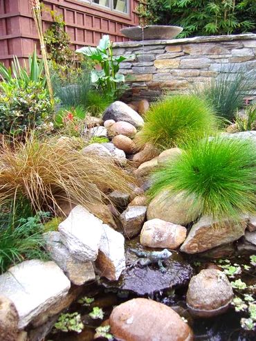 Built-in water feature Creek, ornamental grasses, water plants, rocks, San Diego California