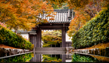 Japanese temple gate surrounded by autumn foliage.