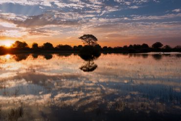 Sunset reflecting over a calm lake with silhouetted trees.