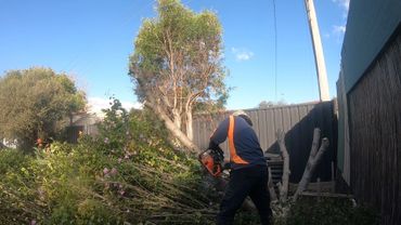 Person cutting tree branches with a chainsaw in a backyard.