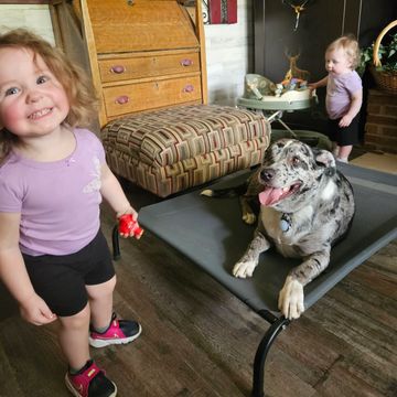 Two toddlers and a happy dog indoors on wooden floor.