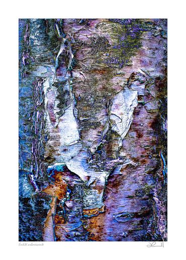 Entité arborescente