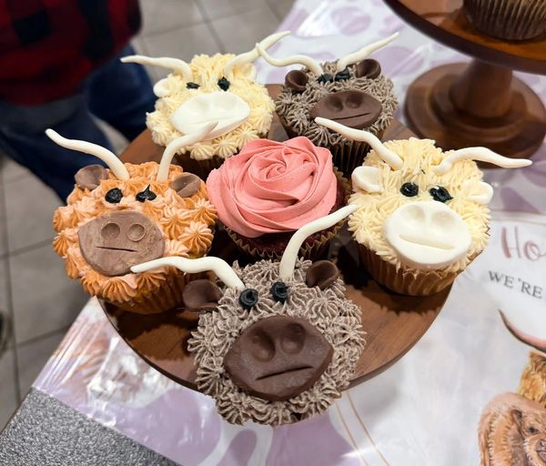 Custom Highland Cow cupcakes