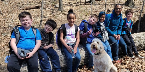 Group of kids and a dog sitting on a log in the woods.