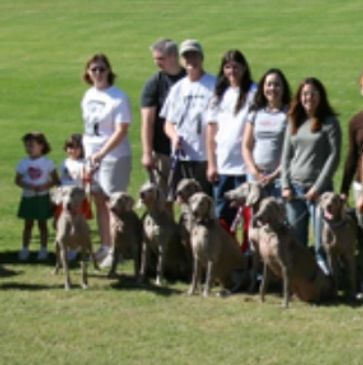 About Valley of the Sun Weimaraner Club
