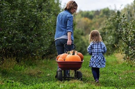 mom and daughter transporting pumpkins through the orchard with a wagon. 