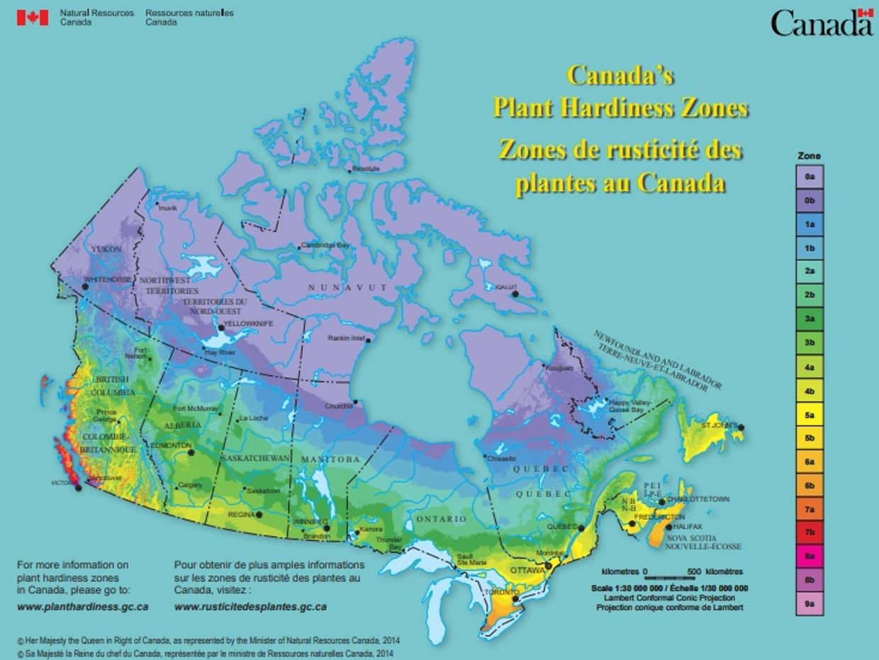 Canadian Plant Hardiness Zone Map