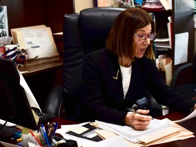 Portrait of Elaine S. Tamsen, Esq., expert in debt collection litigation.