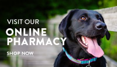 Visit our new online pharmacy!!! 