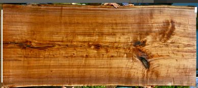Fiddleback Claro Walnut Slab