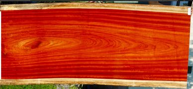Padauk Live Edge Slab
