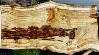 Oregon Tiger Myrtle Live Edge