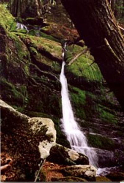 Warner Farm Waterfall